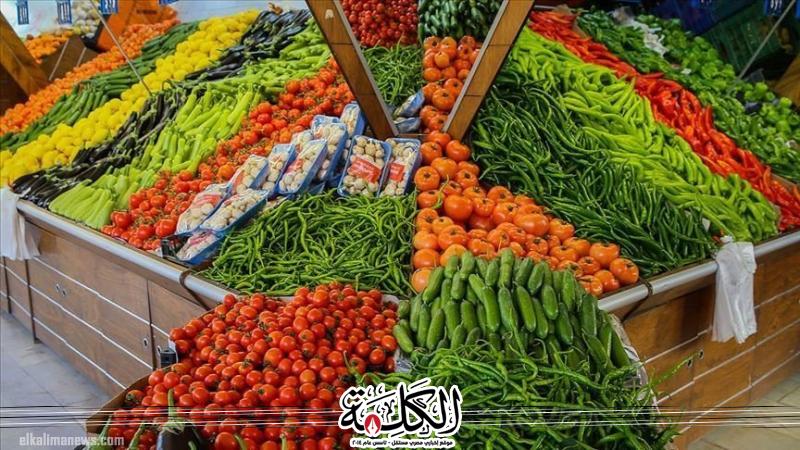 أسعار الخضروات والفاكهة في مصر اليوم السبت | اقتصاد وتكنولوجيا | بوابة الكلمة