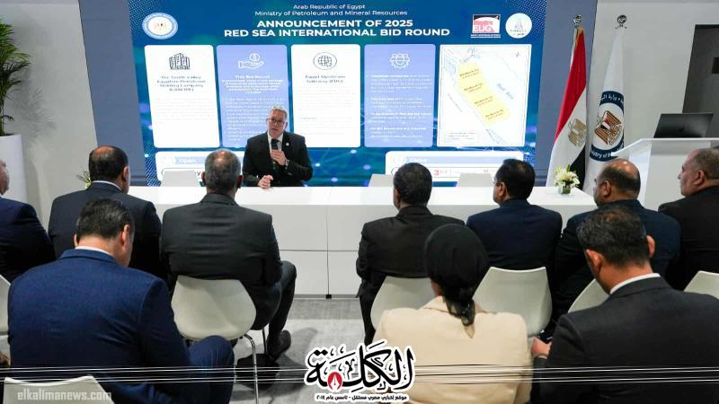 مصر تطرح مزايدة عالمية جديدة للبحث والاستكشاف في 4 مناطق بالبحر الأحمر بنظام محفز للمستثمرين | أخبار وتقارير | بوابة الكلمة