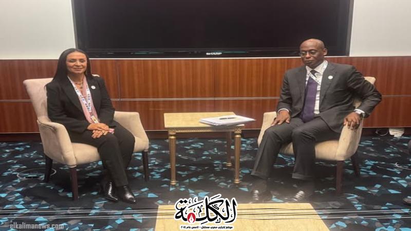 وزيرة التضامن الاجتماعي تلتقي مساعد المفوض السامي للاجئين لشؤون العمليات بالأمم المتحدة | بوابة الكلمة