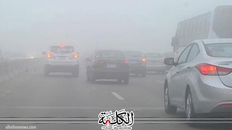 الطقس غدًا..شبورة وسحب منخفضة وأجواء مائلة للحرارة | أخبار وتقارير | بوابة الكلمة