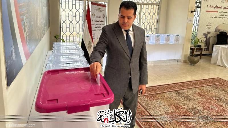 الهيئة الوطنية تنشر بثا مباشرا بتفاصيل مؤتمر متابعة تصويت المصريين بالخارج | أخبار وتقارير | بوابة الكلمة