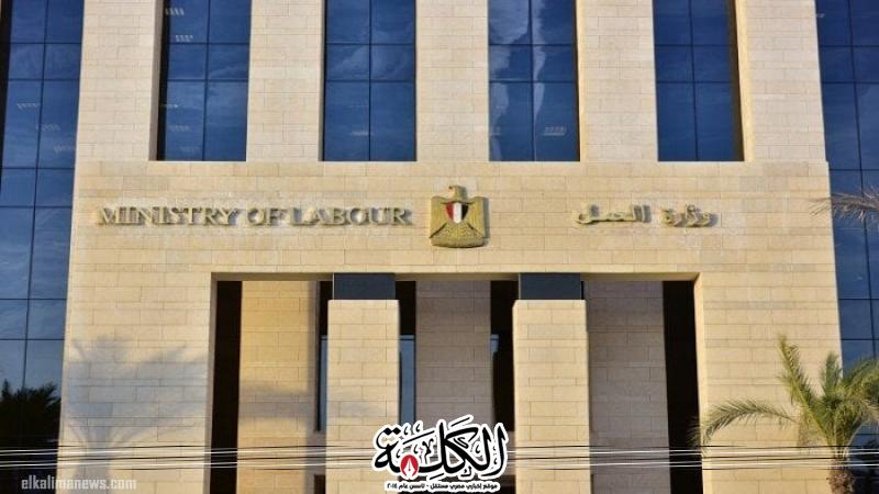 75 ألف فرصة تدريبية مجانية بجميع المحافظات | اقتصاد وتكنولوجيا | بوابة الكلمة