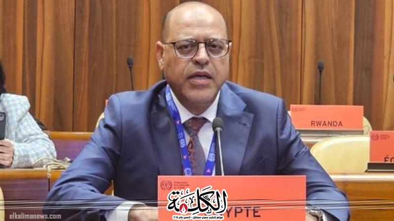 وزير العمل يشارك في اجتماعات مجلس إدارة منظمة العمل الدولية في جنيف | أخبار وتقارير | بوابة الكلمة