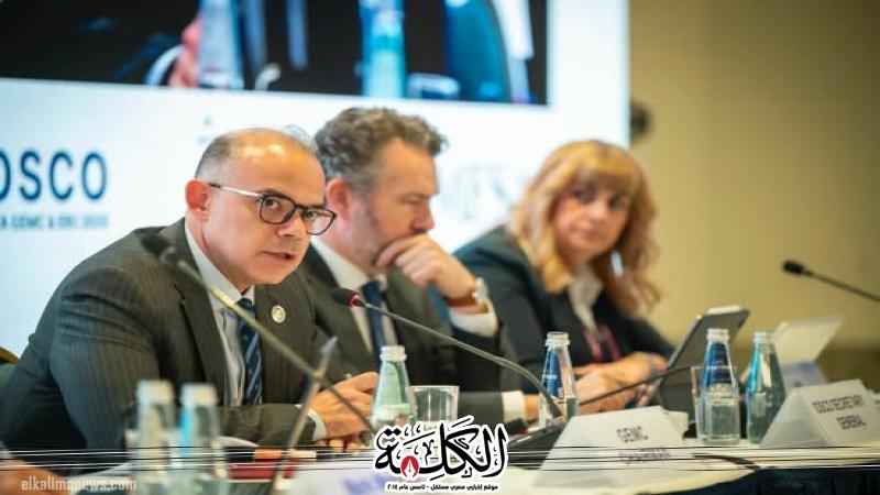 رئيس الرقابة المالية يترأس اجتماعات لجنة الأسواق المالية النامية والناشئة GEMC في مالطا | اقتصاد وتكنولوجيا | بوابة الكلمة