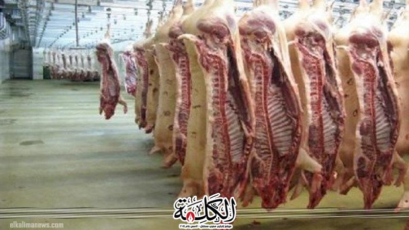 أسعار اللحوم في مصر اليوم الثلاثاء | اقتصاد وتكنولوجيا | بوابة الكلمة