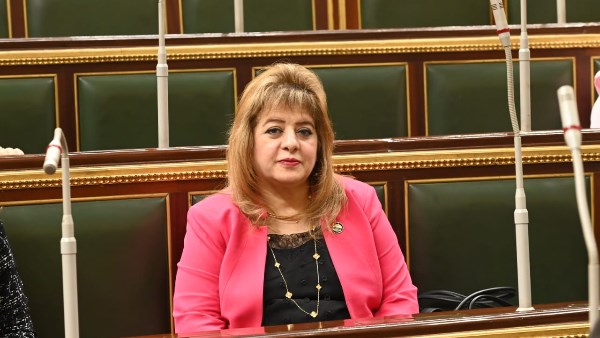 عضو بـ خارجية النواب: تدخل الرئيس السيسي يعزز نزاهة الانتخابات ويقوي ثقة المواطنين