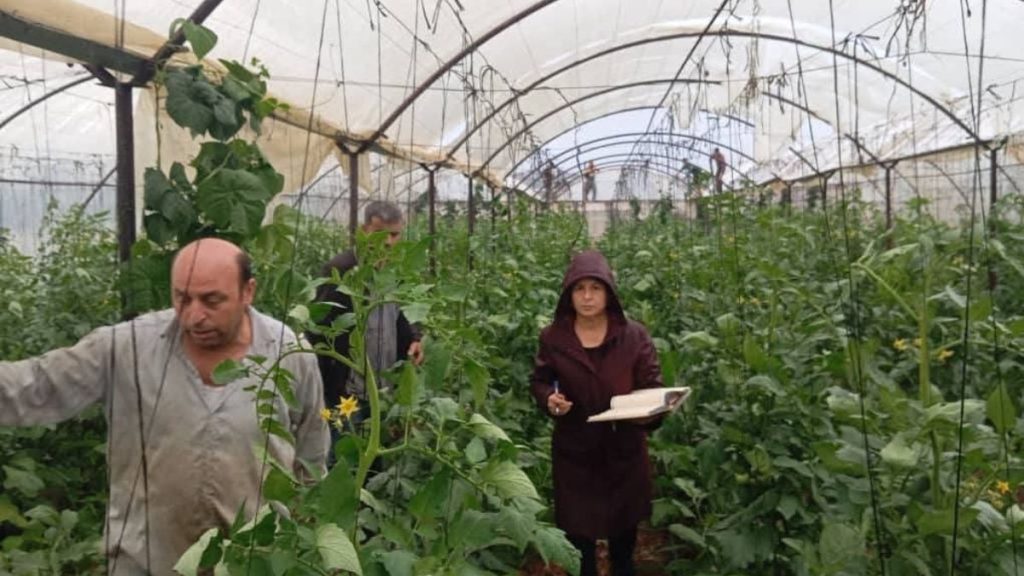 طرطوس.. “تنين بحري” يضرب سهل ميعار شاكر