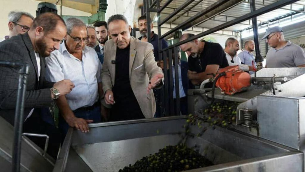 تراجع إنتاج الزيتون للموسم الثالث في طرطوس