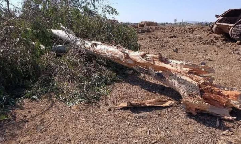 سكان القنيطرة يخسرون مصادر رزقهم.. آلاف الدونمات بين التجريف والحصار الإسرائيلي