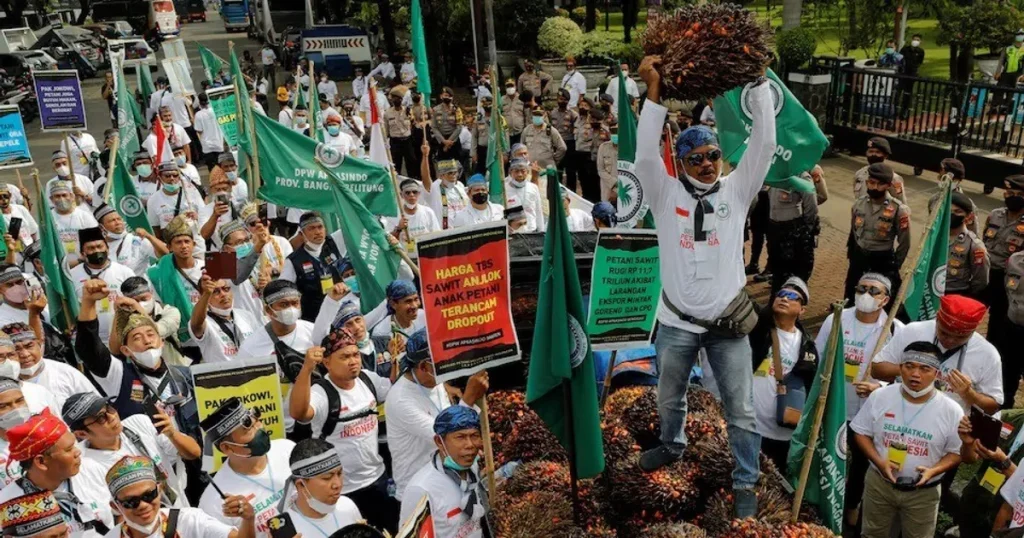 إندونيسيا.. احتجاجات ضد مصادرة مزارع زيت نخيل