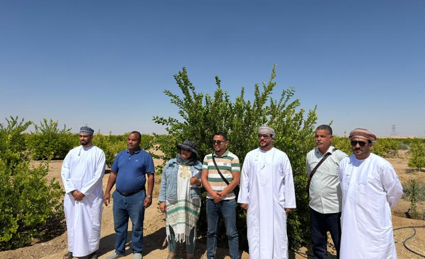 بحث التعاون الزراعي بين سلطنة عُمان والجزائر