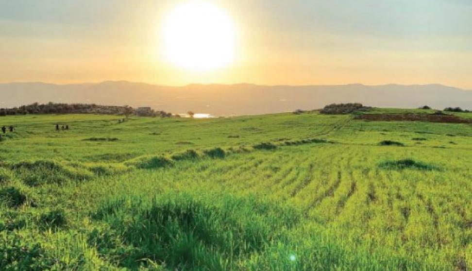 الطقس: انخفاض على درجات الحرارة وأمطار متفرقة ليلا