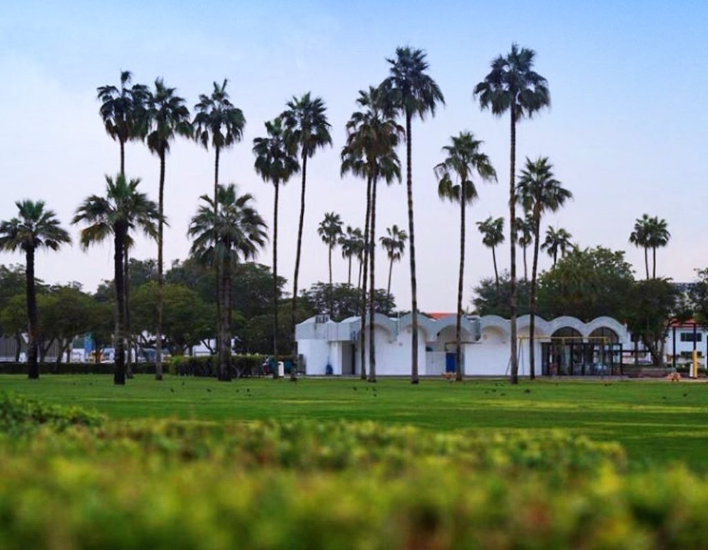 بلدية دبي تعلن إعادة افتتاح الشواطئ والحدائق العامة