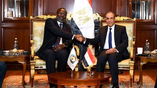 وزير الخارجية يبحث مع رئيس مفوضية الإيكواس تعزيز التعاون والأمن غرب إفريقيا والساحل