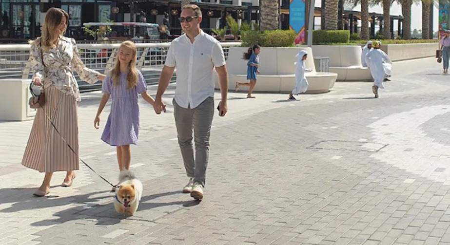 البلديات والنقل في أبوظبي تتيح للمنشآت السياحية استقبال «حيوانات الرفقة»