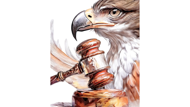 «صقر» يقود رجلين إلى المحكمة