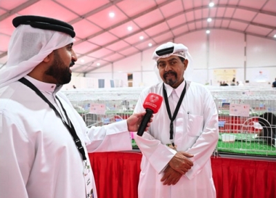 «مراعي 2025» منصة متنوعة لعرض سلالات حمام الزينة والدواجن النادرة – الوطن