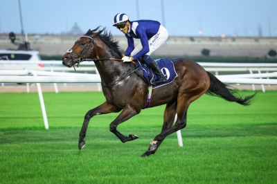 ولي العهد رئيس الوزراء يشهد مهرجان الرفه للإعلام لسباق الخيل – الوطن