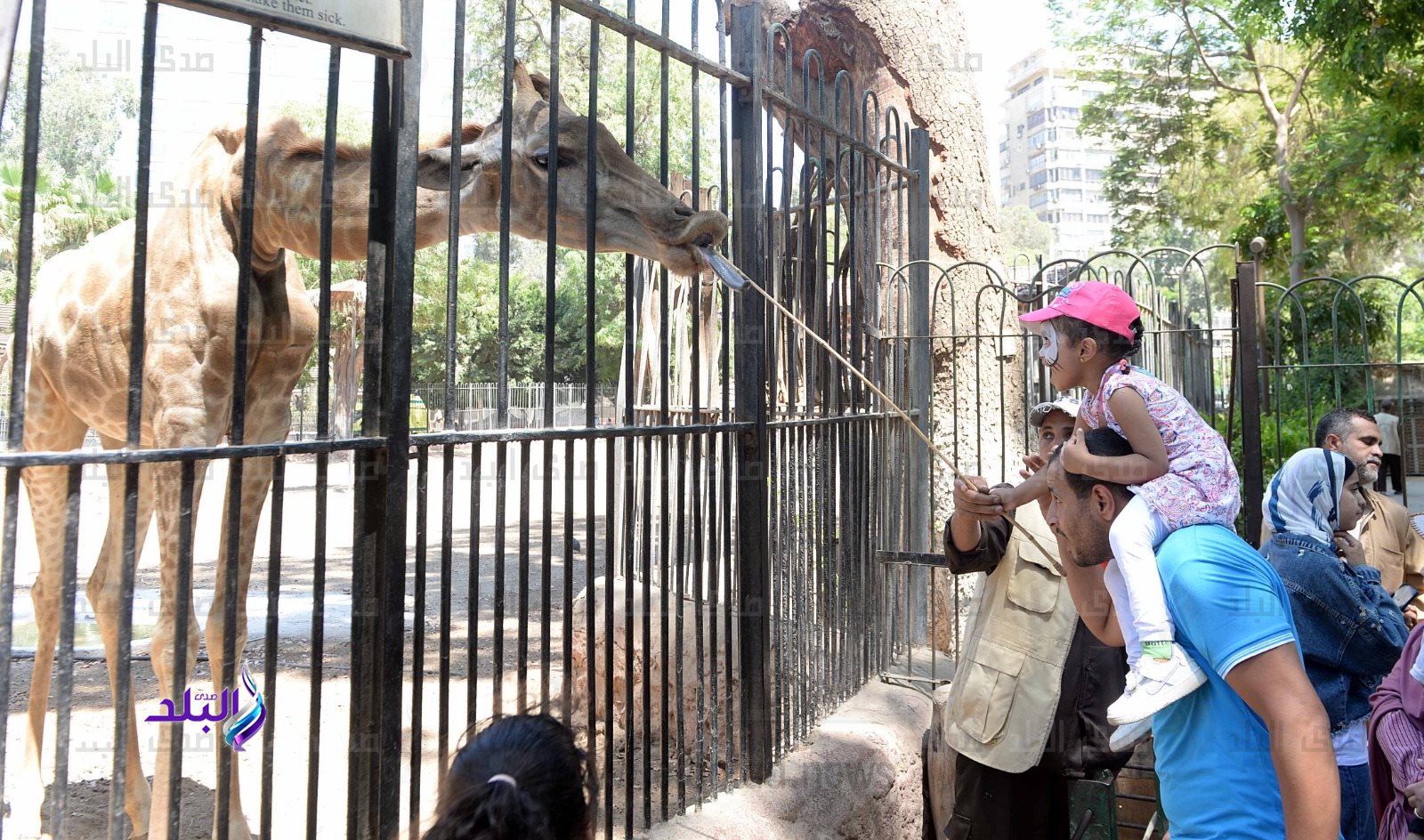 حديقة الحيوان بالجيزة