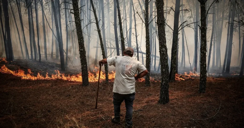 2025 سيكون ثاني أو ثالث الأعوام الأعلى حرارة على الإطلاق