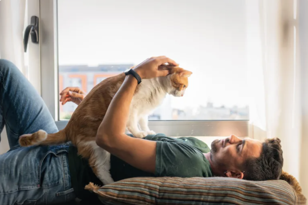 دراسة تركية: القطط تموء للرجال أكثر من النساء والسبب مفاجئ