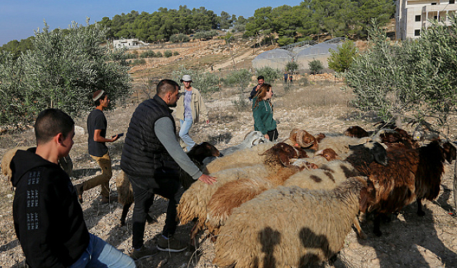 موجة اعتداءات استيطانية في الضفة: إصابات وجرف أراضٍ وتوسيع مستوطنات