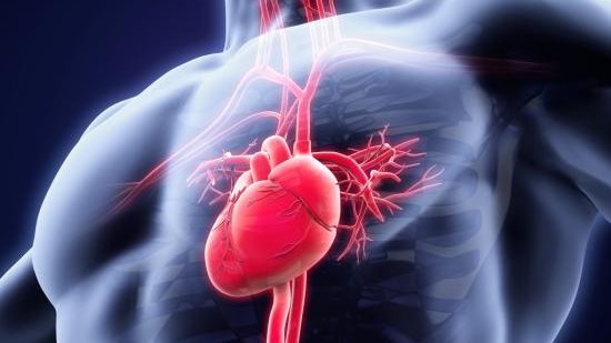 انتبه| في هذه الحالات تسارع ضربات القلب خطر .. تعرف على الأسباب