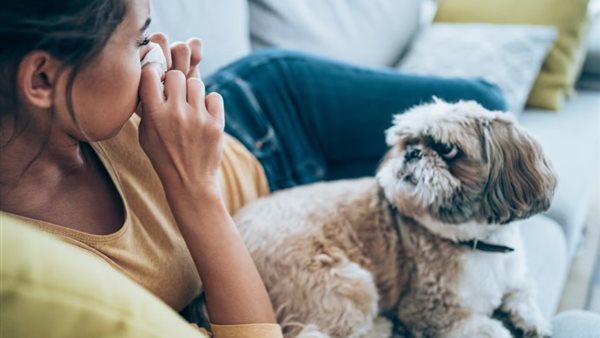 ممارسة قديمة شائعة مفيدة جدًا في علاج نزلات البرد