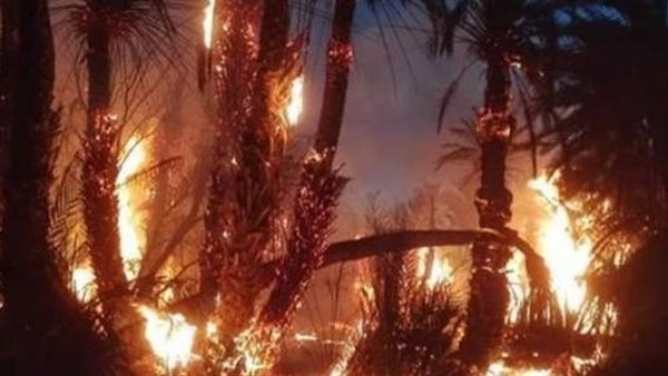 تفاصيل اندلاع حريق هائل بمخلفات داخل أرض كلية الزراعة بجامعة القاهرة