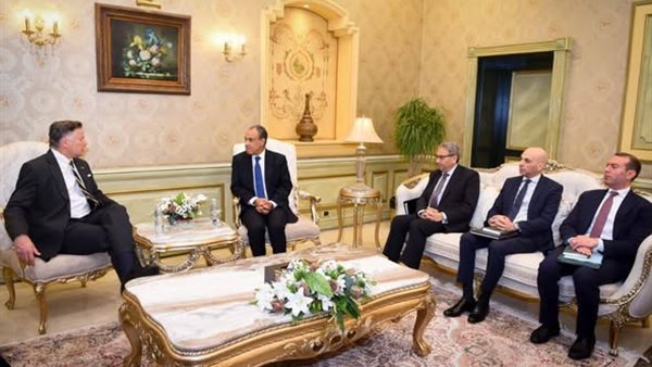 تفاصيل لقاء بدر عبد العاطي مع نائب وزير الخارجية الأمريكي