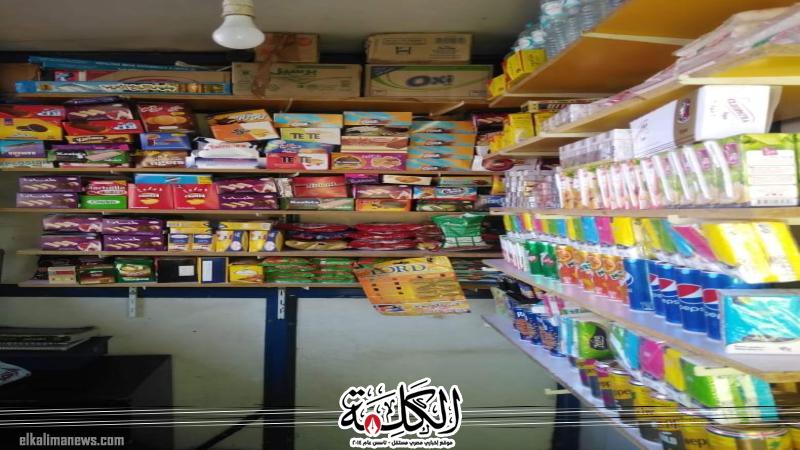 حياة كريمة.. الأورمان تدعم 86 مشروعاً بـ 860 ألف جنيه | أخبار وتقارير | الكلمة