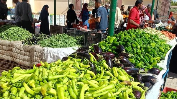 أسعار الخضراوات والفاكهة اليوم السبت 3-1-2026