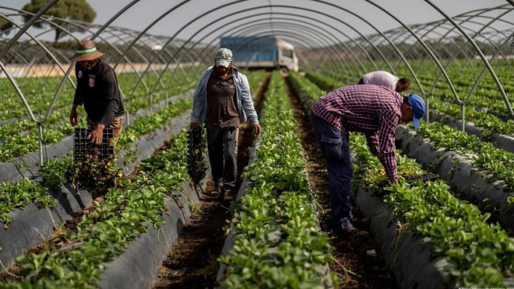 عكس التيار الأوروبي.. إسبانيا تتجه لتسوية أوضاع نصف مليون مهاجر