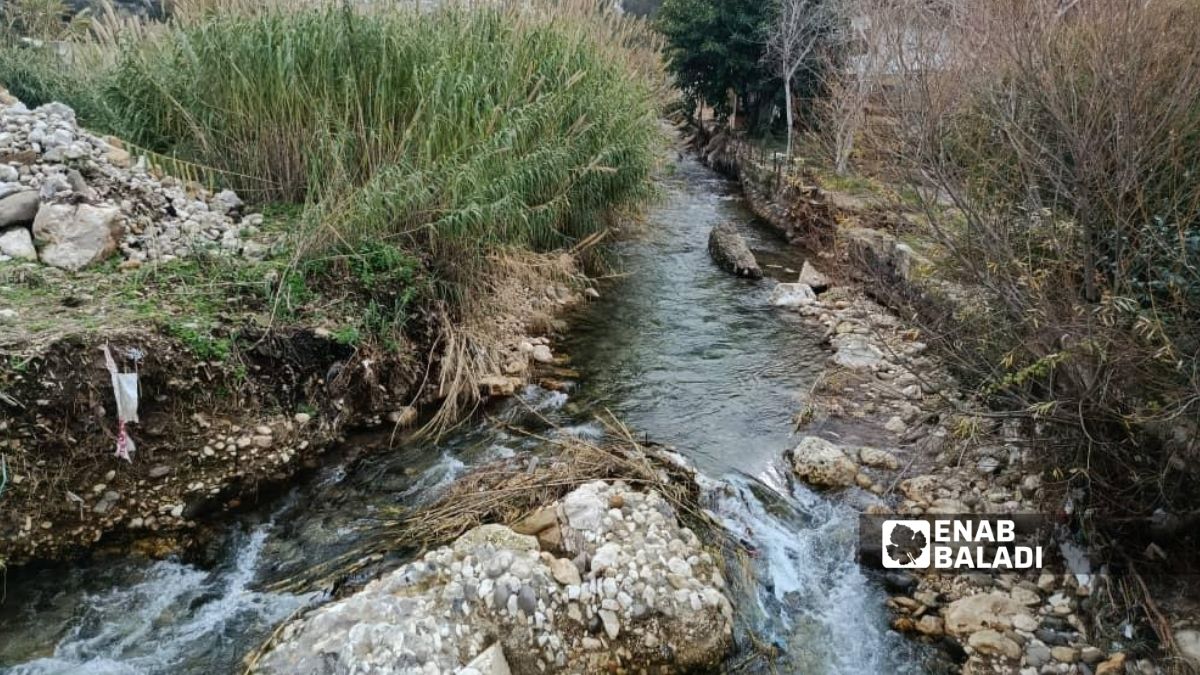 عودة الجريان إلى نهر رأس النبع بمدينة بانياس التابعة لمحافظة طرطوس بعد جفافه الموسم الماضي - 1 شباط 2026 (/شعبان شاميه) 