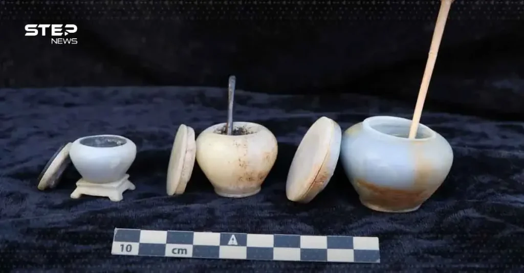 اكتشاف أثري مذهل… بعثة مصرية تفجر مفاجأة أثرية كبرى في أسوان