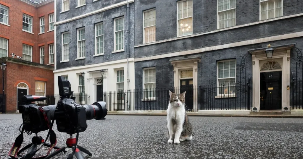 القط لاري يحتفل بـ15 عاما على منصبه الرسمي في حكومة بريطانيا