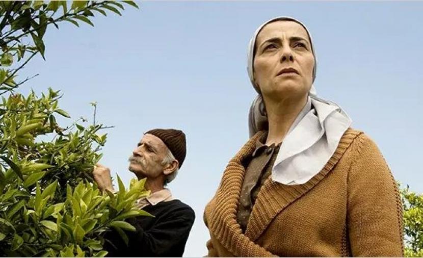 فيلم “شجرة الليمون” .. قصة فلسطينية تحت الاحتلال تتحول إلى مرآة فنية للصراع