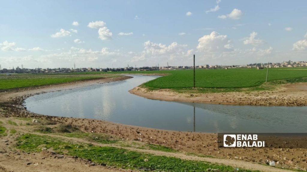 “الخابور” ينعش زراعة الحسكة بعد سنوات من الجفاف