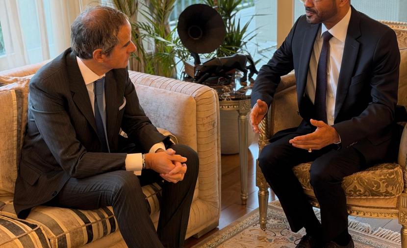 وزير الخارجية يشدد على أهمية الدور المهني للوكالة الدولية للطاقة الذرية