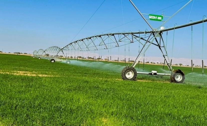 جنوب الباطنة تطرح أكثر من 15 فرصة استثمارية في القطاعات الزراعية والغذائية