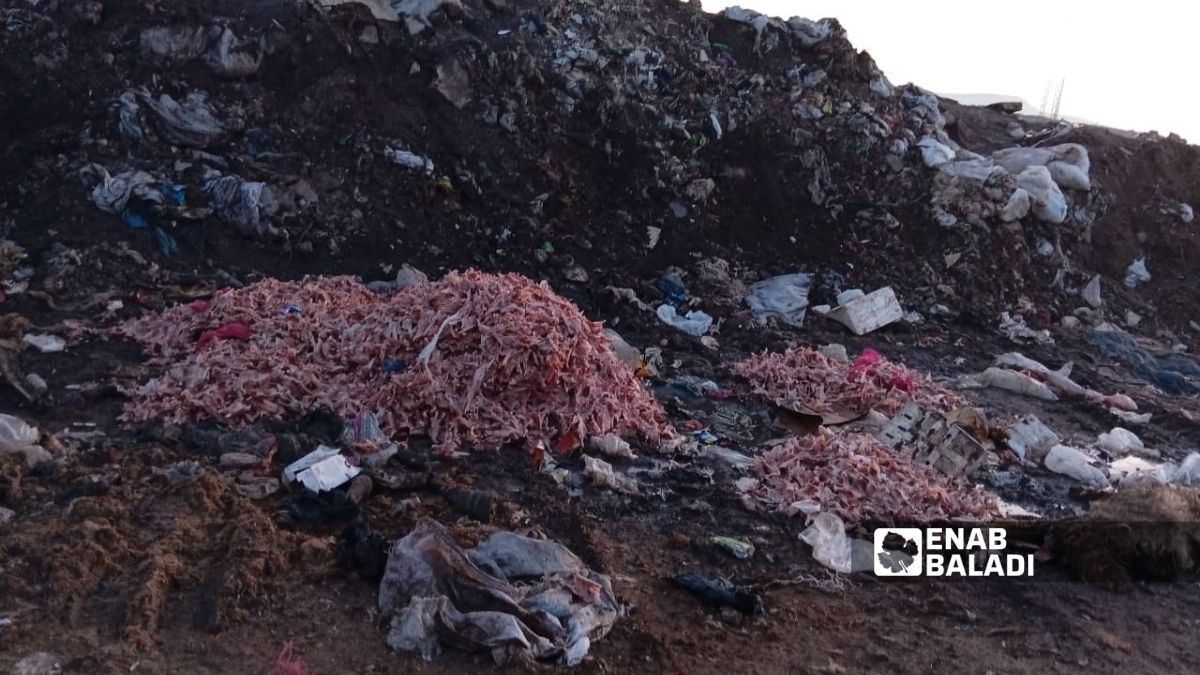 تراكم النفايات وبقايا المسالخ عند مدخل حي عين الباد في حماة - 10 شباط 2026 ()