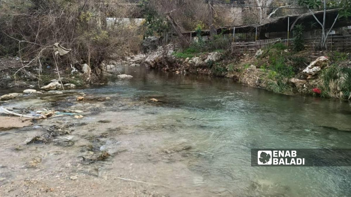 عودة الجريان إلى نهر رأس النبع بمدينة بانياس التابعة لمحافظة طرطوس بعد جفافه الموسم الماضي - 1 شباط 2026 (/شعبان شاميه) 